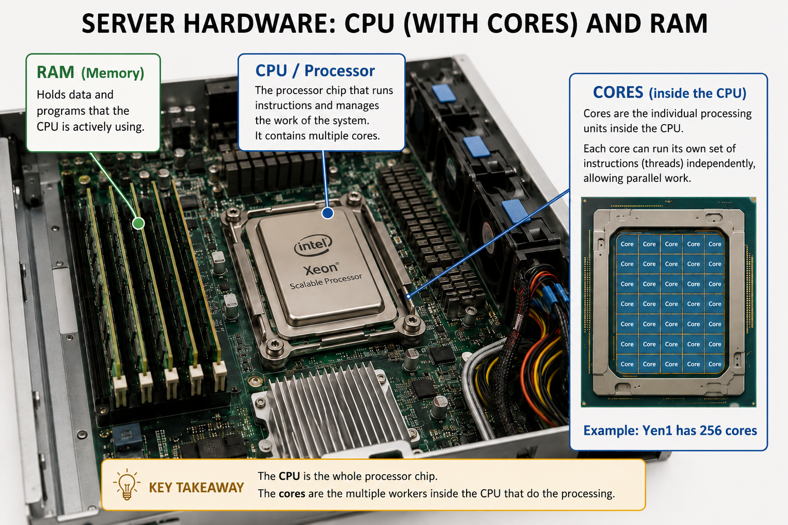Server hardware diagram showing CPU, cores, and RAM — Yen1 has 256 cores